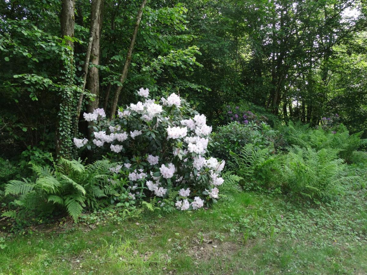 Chalets Du Pontot Le Fay 외부 사진